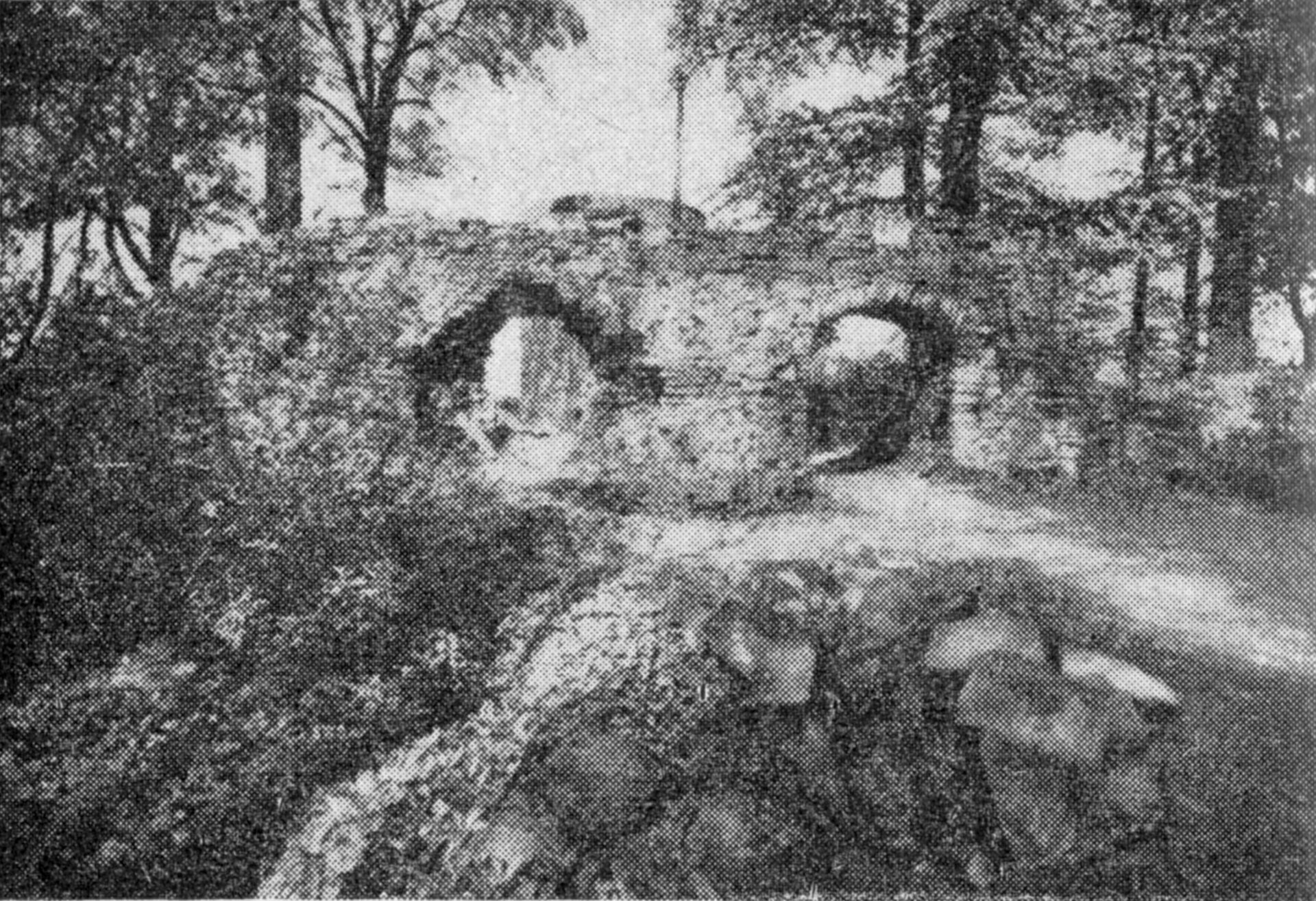 Ruine der Homburg bei Eschershausen